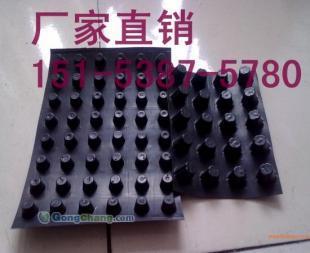 渭南屋面種植隔根板與園林綠化排水板 綠色建筑的關鍵組件