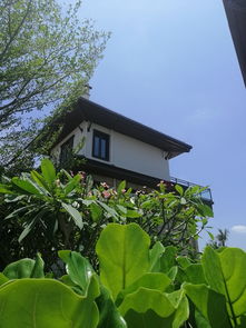 國瑞云龍湖項目湖畔瞰景及園林綠化配套實景拍攝圖賞析